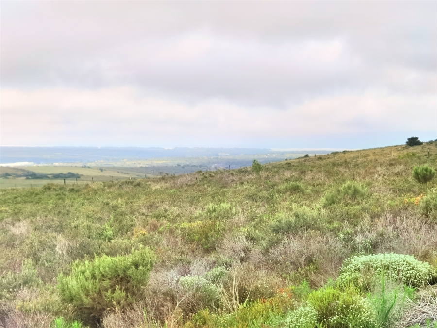 0 Bedroom Property for Sale in Kabeljauws Eastern Cape